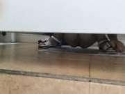 精品厕拍 白虎小萝莉