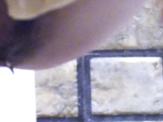 2019最新厕拍大神潜入某商圈大厦女厕近距离偷拍M个妹纸4K高清版