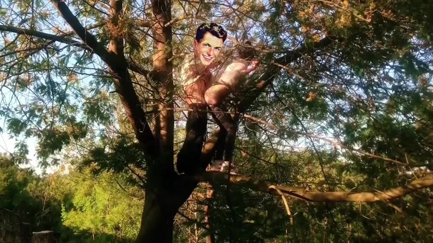 猎奇！中国情侣为了追求刺激，竟然站在树上打炮！.mp4