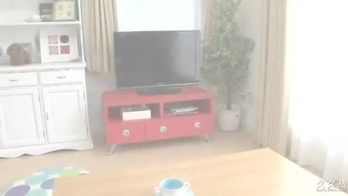 中西里菜十三部全-3