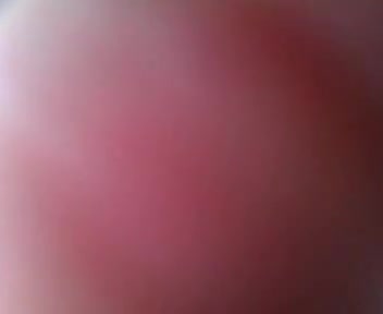 湖南师大树达学院旁 旅馆 激情