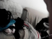 等你姐回来你只能操到一半201