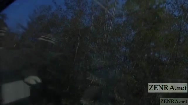 日本女优在车被人干翻