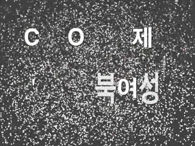 C2Joy - bJ 北朝鲜女